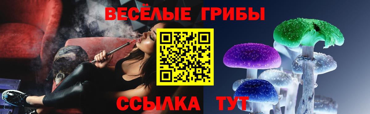 Электрогорск  Галлюциногенные грибы MAGIC MUSHROOMS  Вход с VPN 